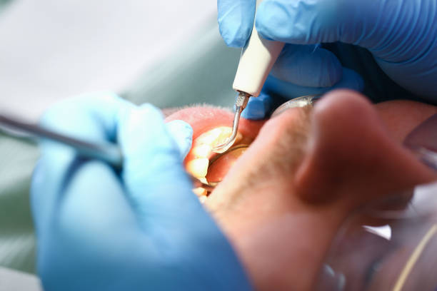 Best Pediatric Emergency Dentist in Garland, UT