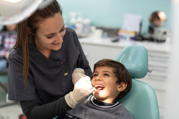 Best Emergency Dental Care for Broken or Chipped Teeth in Garland, UT